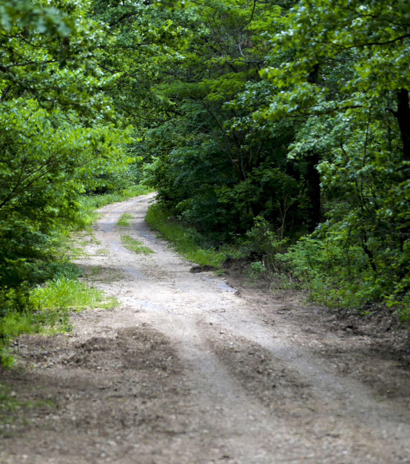 camp scott girl scout murder